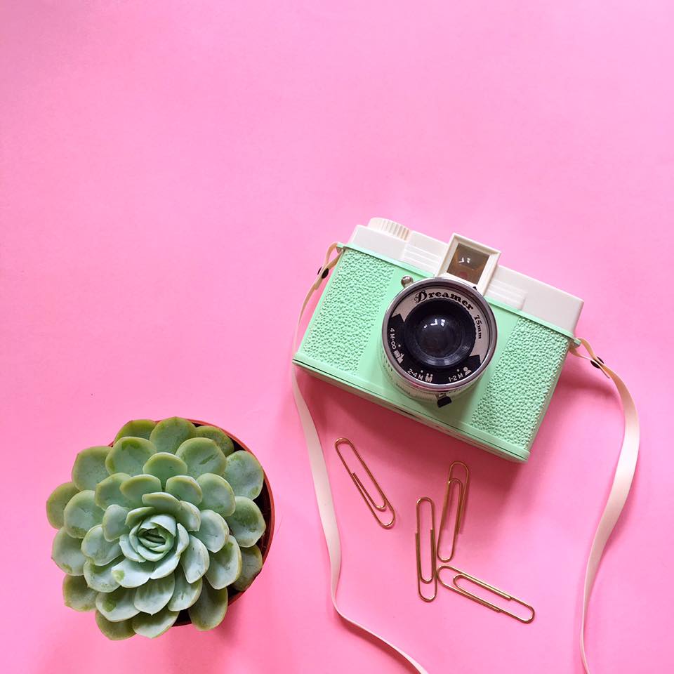 dianaF camera with succulent