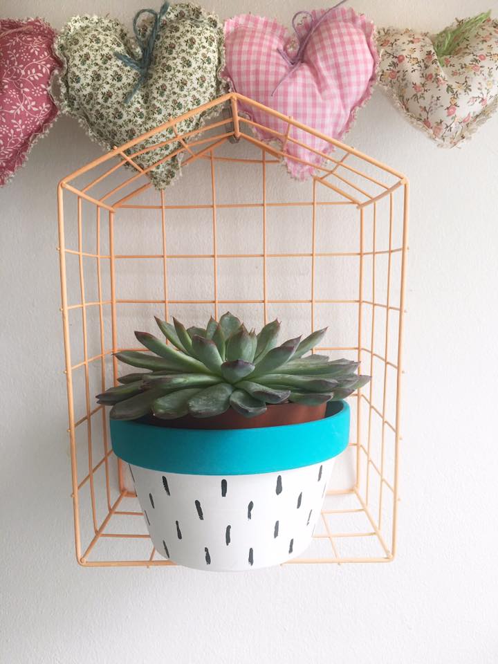 flying tiger cage ornament succulent plant 