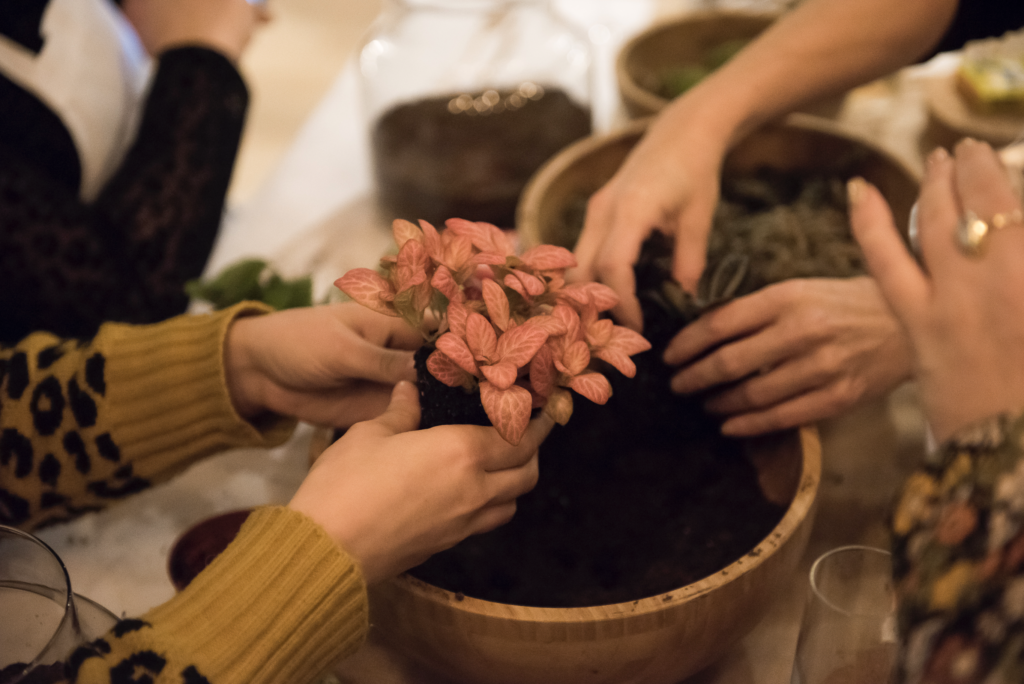 terrarium workshop. wellness and self care