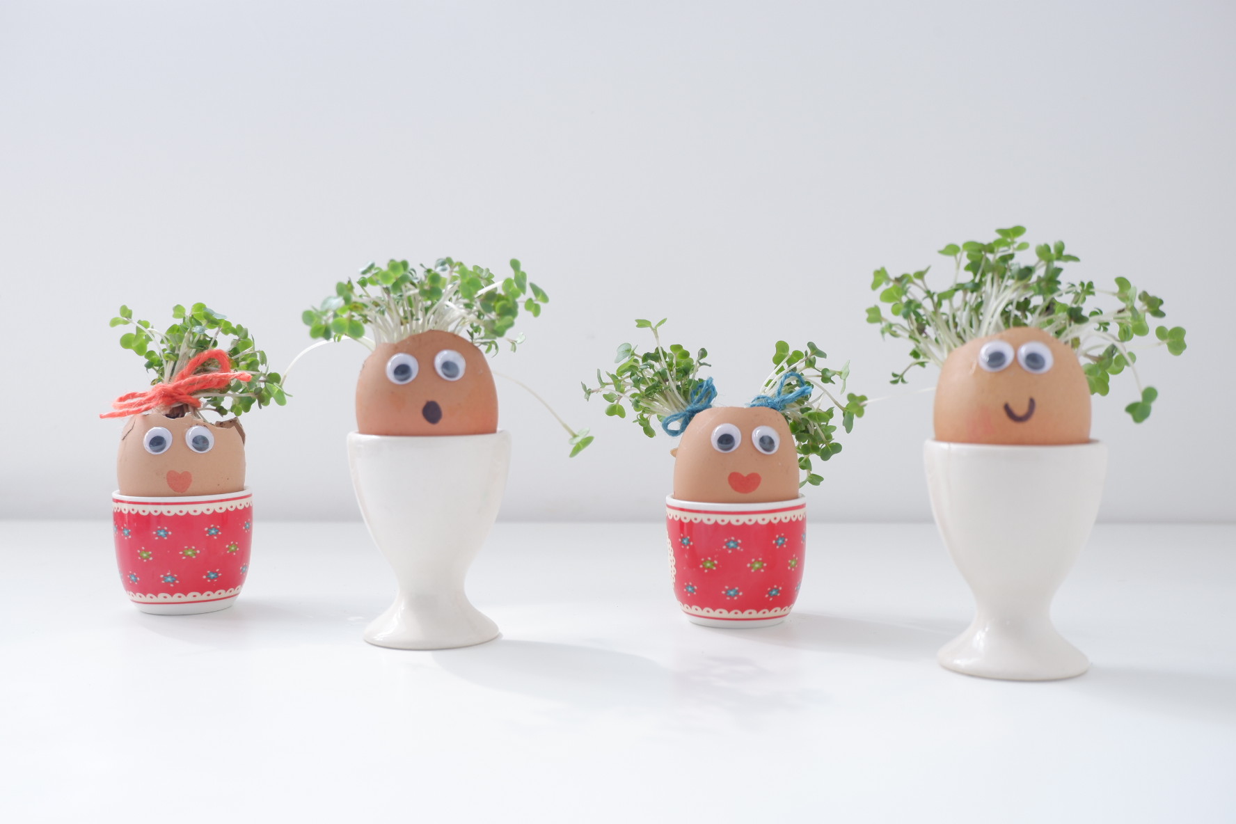 How to Grow Your Own Cress Egg Heads