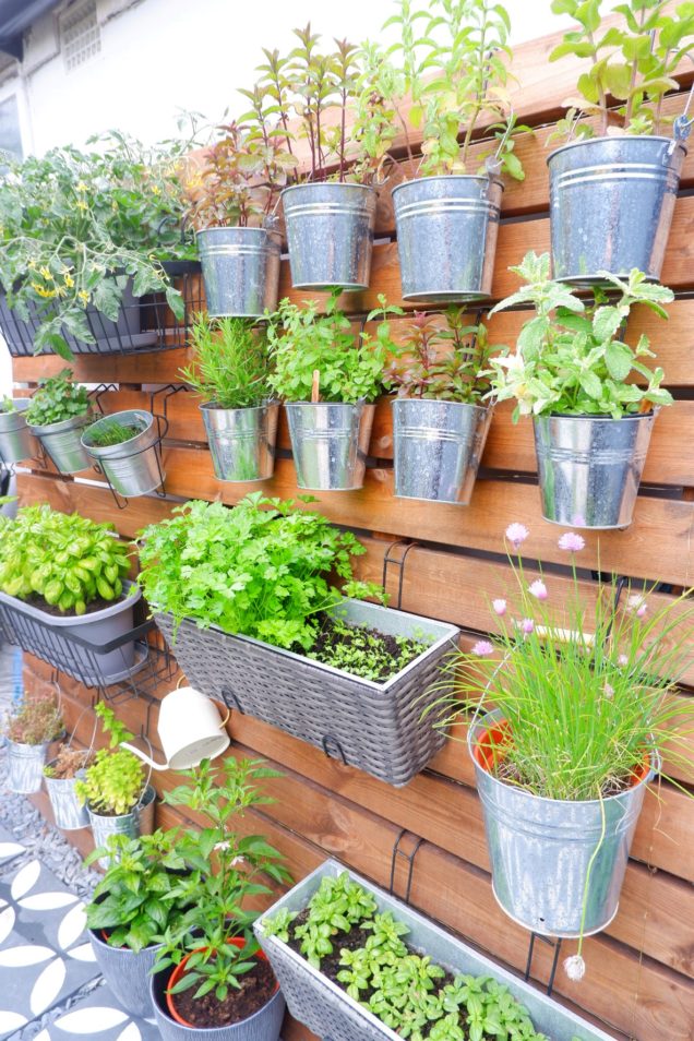 DIY Garden Herb Wall - That's so Gemma