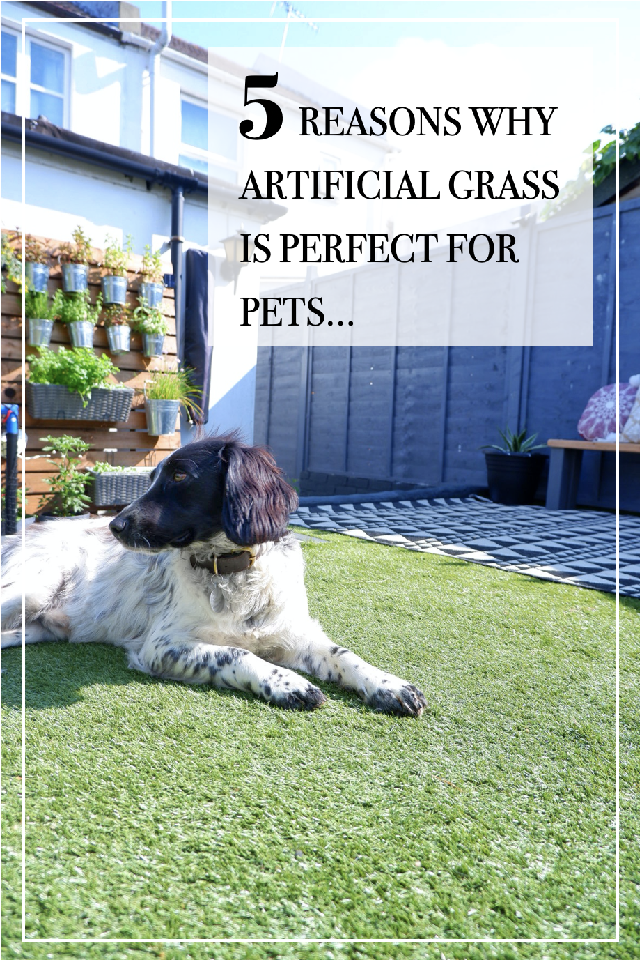 5 Reasons Why Artificial Grass is Perfect For Pets