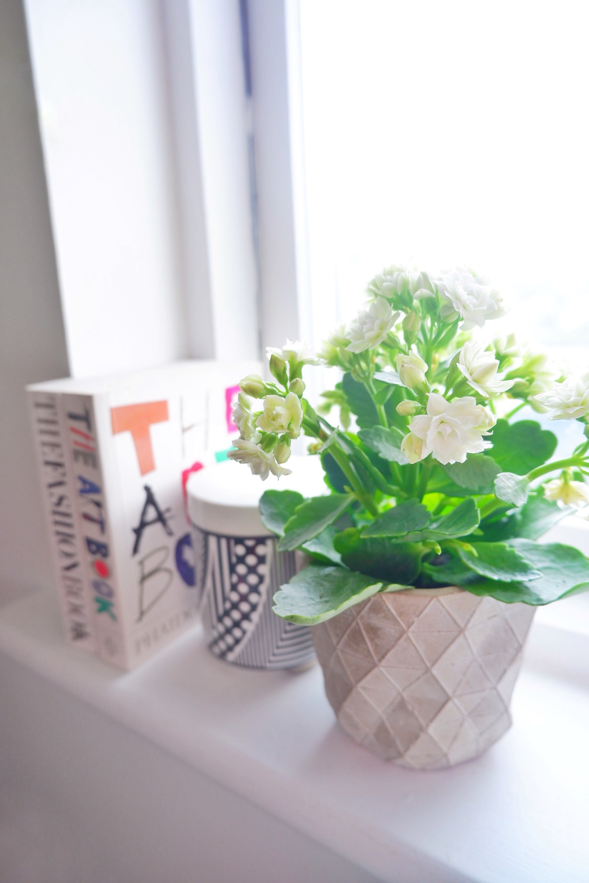 Housplants to brighten your office