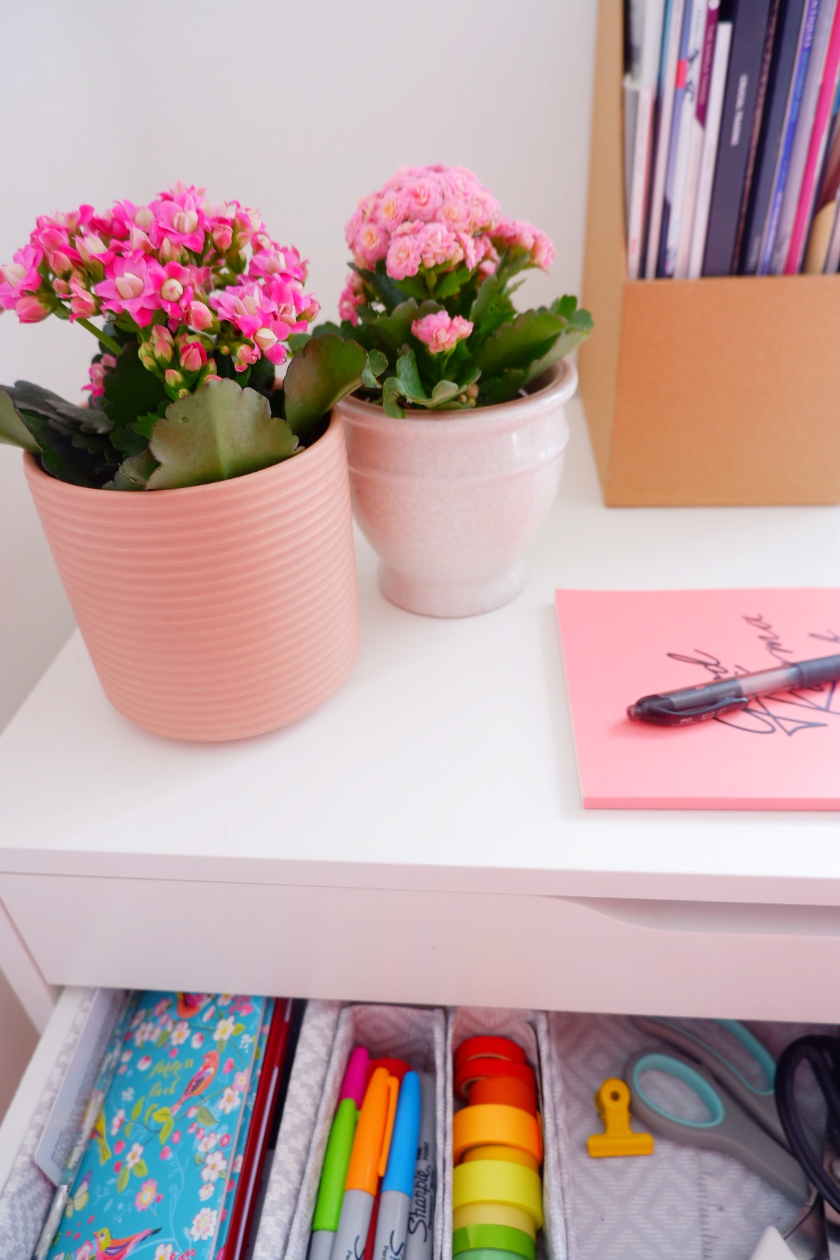 Pink houseplants to brighten your work space