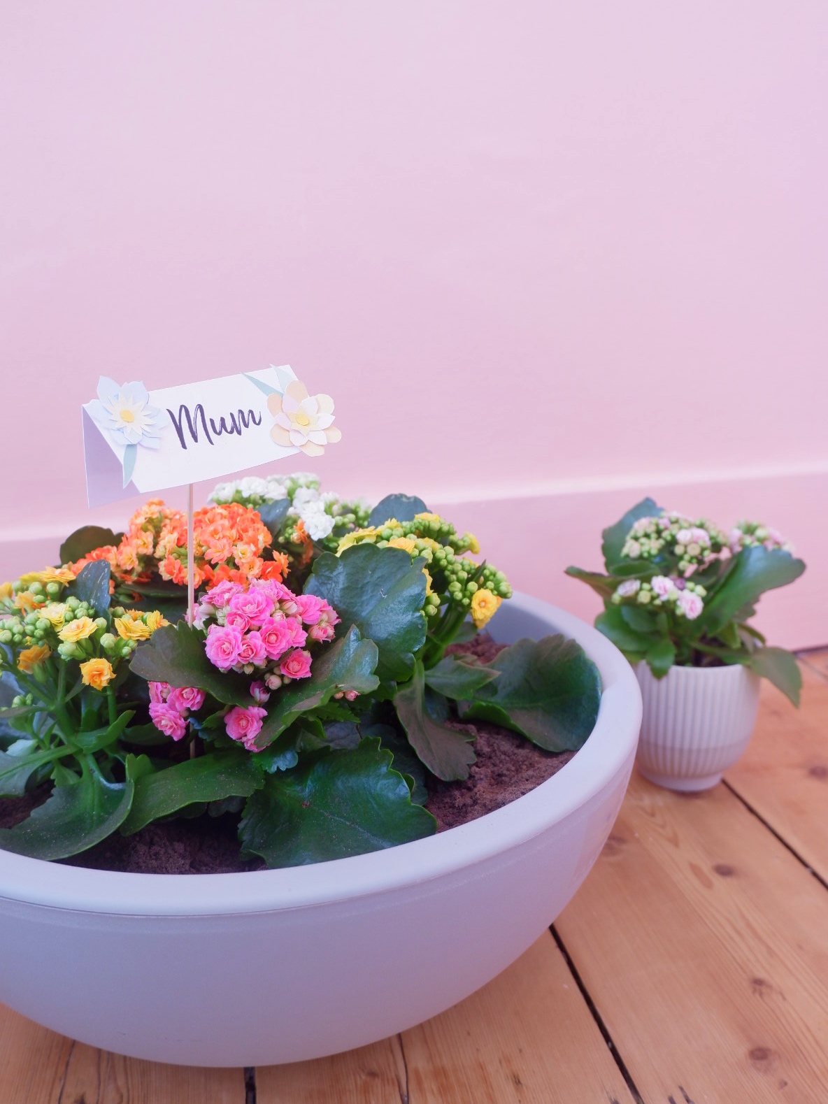 Mother's day planter