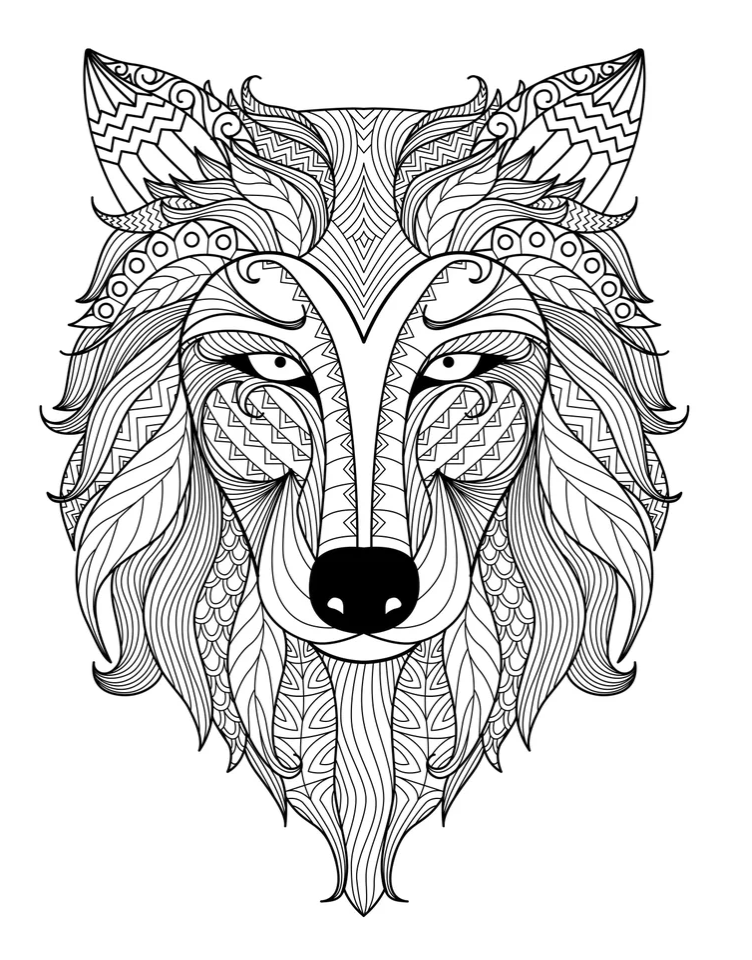 Wolf colouring in page